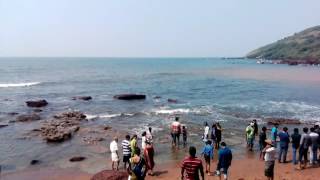 Lovely Goa anjuna