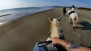 A  CAVALLO per la MAREMMA