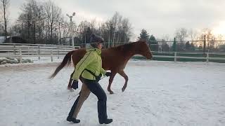 16.01.2018 Занятие со Златом