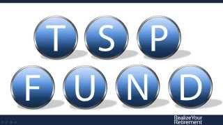 Government TSP: Overview of the Federal Thrift Savings Plan Funds