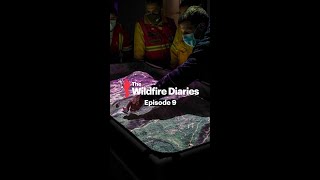 The Wildfire Diaries - Episode IX - Pau Costa Foundation