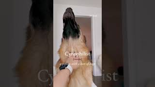 Are you a Cynophilist?  #germanshepherd