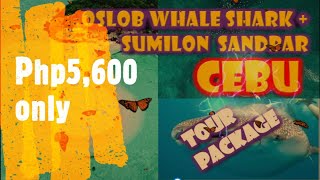 OSLOB WHALE SHARK + SUMILON SANDBAR (VLOG#56) #travel #cebu #vlog