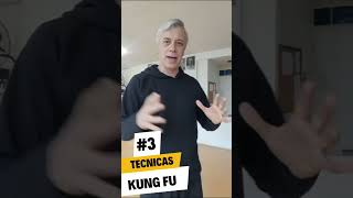 Técnicas de Kung Fu #3 #kungfu #belgrano #shaolin #kungfumaster