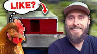 Do Our Backyard Chickens Like The HenGear Nest Box?