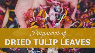 Tulips - Potpourri from dried tulip leaves