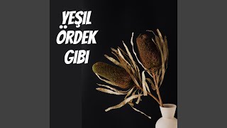 Yeşil Ördek Gibi