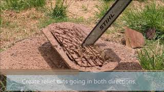 How to Make A Homemade Wooden Dough Bowl