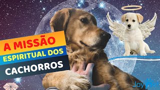 QUAL A MISSAO ESPIRITUAL DOS CACHORROS? 🐶🐾⭐ VOCÊ TEM UM ANIMAL DE ESTIMACAO?🐶🐾