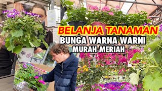 BELANJA TANAMAN DI BELANDA | TOKO TANAMAN DI BELANDA