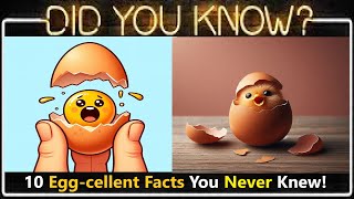 Cracking the Code: 10 Egg-cellent Facts You Never Knew! (Imi Fun Facts)