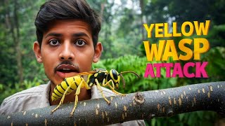 Shocking Yellow Wasp Attack Caught on Camera! 🐝 | How to Protect Yourself!"