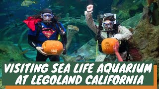 THEME PARK: Visiting Sea Life Aquarium At Legoland California Theme Park in Carlsbad, San Diego, CA!