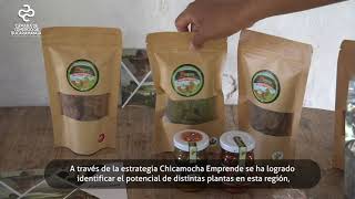 Chicamocha Emprende Rural: fortalece las capacidades de la mujer rural en el municipio de Los Santos