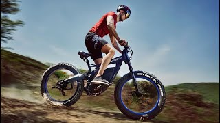 BISON ecotric electric mountain ebike 48v 1000w output power 1500w from Coolfly Manufacturing