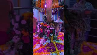 jai mata di #trending #song #iloveprayagraj #jogi