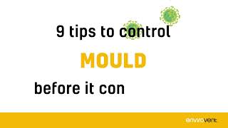 9 Tips To Control Mould Before It Controls You