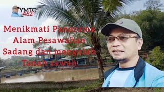 Menikmati Panorama Alam Pesawahan Sadang dan mengolah Tanah sawah #Sawahindah #Panorama #cintaalam