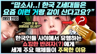 한국인들 사이에서 유행하는 쇼킹한 반려자(?)에게 세계 주요 매체들이 주목한 이유 "헐... 한국에서는 요즘 이런 거랑 같이 산다고요?"