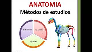 INTRODUCCION MORFOFISIOLOGIA ANIMAL