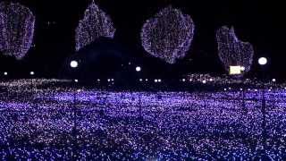 Tokyo Midtown Winter Illuminations