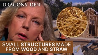 Changing The Face Of Construction One Straw House At A Time | Dragons' Den