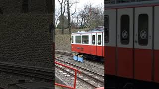 60-as fogaskerekű #bkk #budapest #bkv #transport #shortvideo #shorts #short