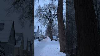 #snow  view#germany #viralvideo #youtubeshorts