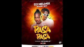 MIXTAPE  PASA PASA 2K24 - DJ NELMIX ft ROOBYBOY