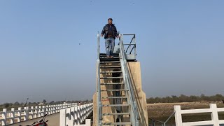 TOQEER MAZHAR FROM OKARA | A visit to the Lower Bari Doab Canal | 23/01/2023 |