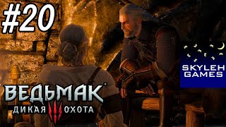 Прохождение The Witcher 3: Wild Hunt NextGen #20