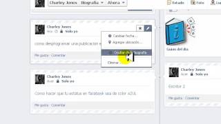 Como desprogramar publicacion en facebook ?