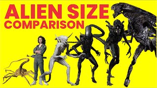 Alien Size Comparison - THE TOP LIST