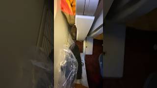 WORST AIRLINE EXPERIENCE AIR INDIA DISGUSTING SEATS LONDON HEATHROW TO DELHI