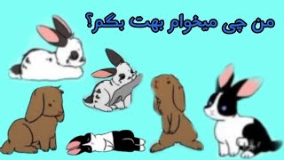 چرا خرگوشم روی دو تا پا وایمسیه؟زبان بدن خرگوش پارت۱ #خرگوش #bunny #زبان_بدن