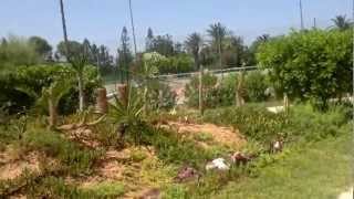 Caribbean world monastir 2012-06-19.mp4