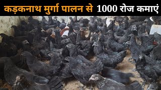 कम लागत में कड़कनाथ मुर्गा पालन कर हर दिन 1000 से 2000 कमाएं #uniquefarmingideas