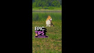 Epic Tips x Galaxy S24 Ultra: Make your pics bow WOW! | Samsung