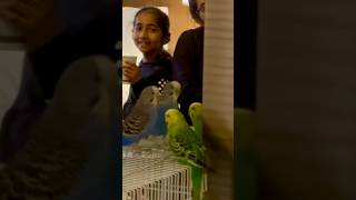 Chikko Neelu 2 se hue 4…. #pet #prank #petlovers #funny #shortsvideo #shortsviral #youtube