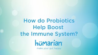 How do Probiotics help boost the Immune System?