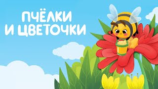 Развивающая игра «Пчёлки и цветочки»