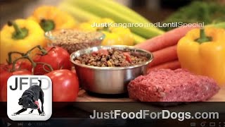 Kangaroo and Lentil Special Healthy Dog Food | JustFoodForDogs