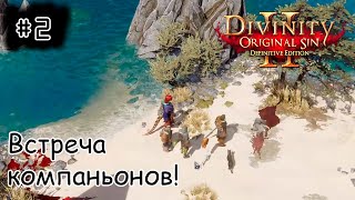 [stream] Divinity: Original Sin II (STEAM) - Кооперативные приключашки.