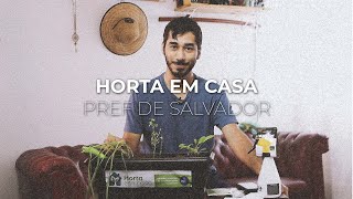 HORTA EM CASA - VLOG 139