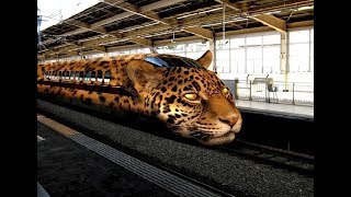 Top 10 Fastest Trains In The World You Have Never Seen Before