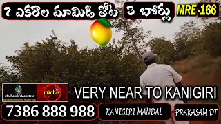 7 ACRES RED SOIL MANGO FARM LAND FOR SALE || KANIGIRI||PRAKASAM DT|| 7386888988 ||#MadhavTv||MRE-166