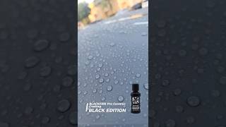 Love the water beading from BLACKFIRE Black Edition Ceramic Coating 😏#BlackfireWax #blackedition