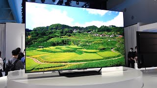 OPPO Smart S1 QLED TV - Full Review & First Look