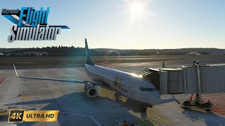 MSFS2020 | Ultra Graphics | RTX4090 | recife - Maceio | DiAviao | | Real 737 pilot |