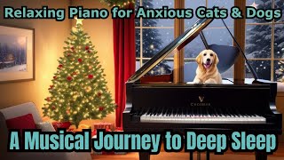 Magical Stress Relief Melodies for Merry Christmas 🎄 Relaxing piano for Dogs & Cats